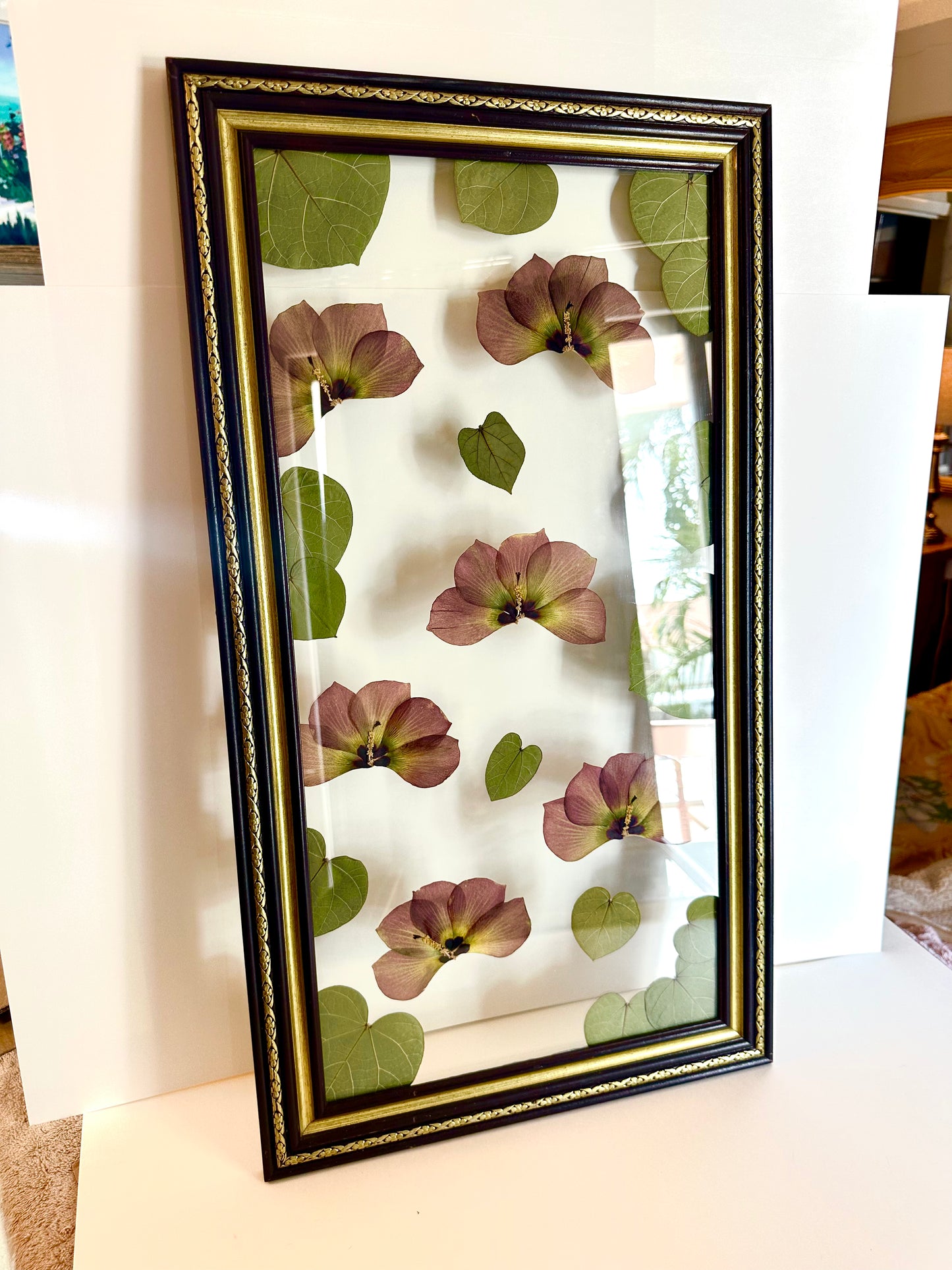 Pressed Sea Hibiscus in Floating Glass Frame (15"x27") (SCB)