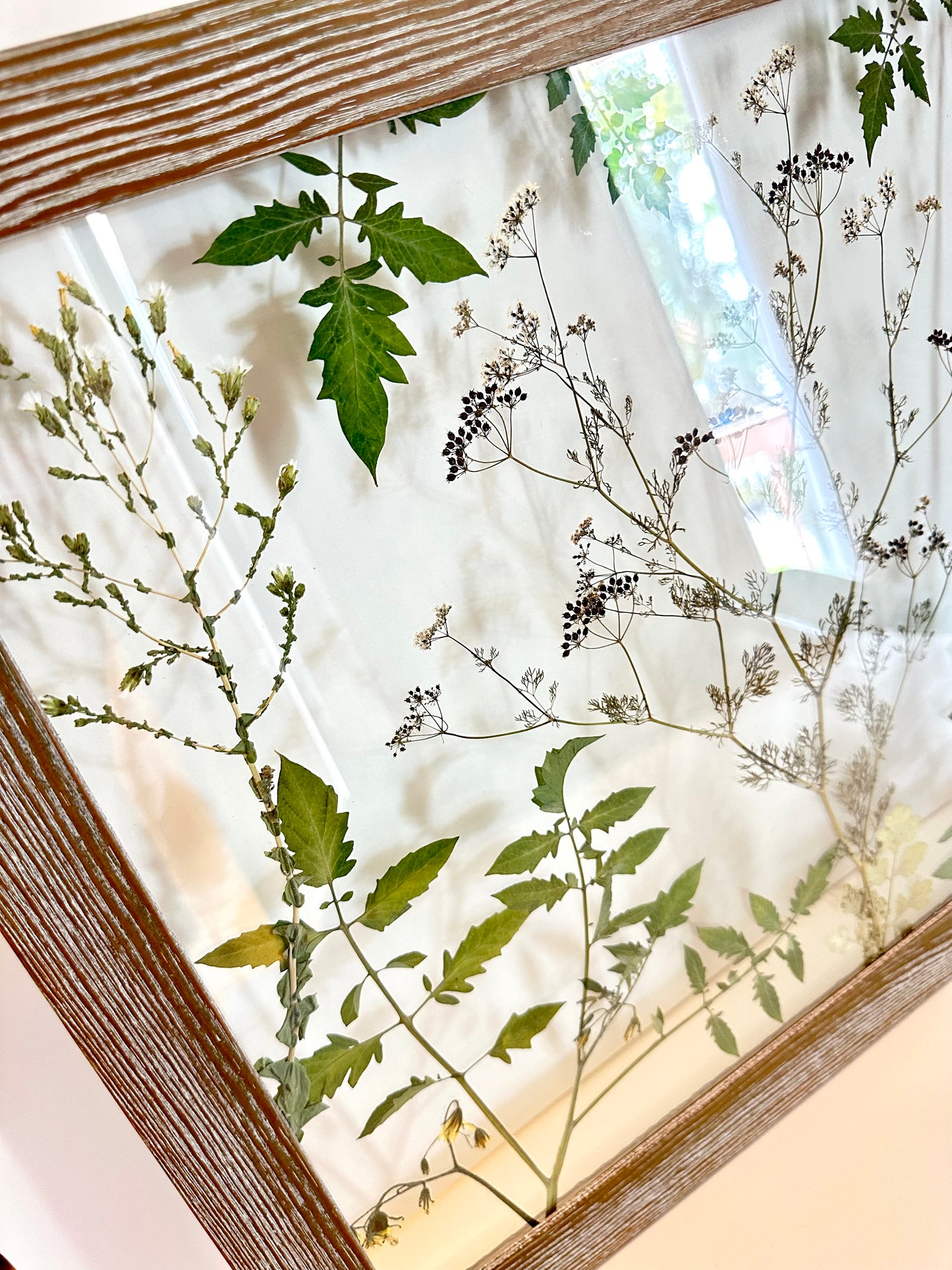 Summer Garden Gone to Seed (18"x22") (SCB)