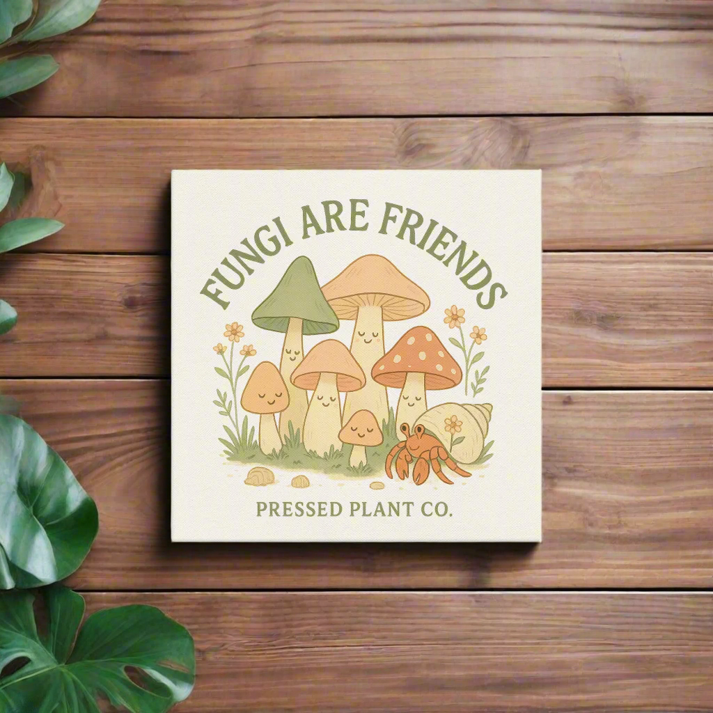 Fungi Are Friends Square Canvas