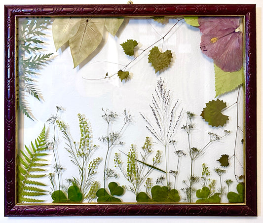 Coastal Flora of Brevard County (15"x18") (SCB)