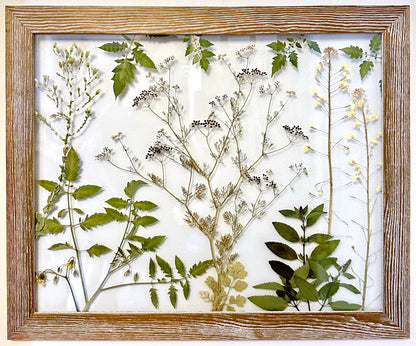 Summer Garden Gone to Seed (18"x22") (SCB)