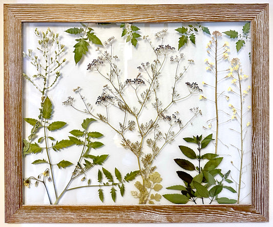 Summer Garden Gone to Seed (18"x22") (SCB)