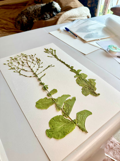 Summer Garden Gone to Seed (18"x22") (SCB)