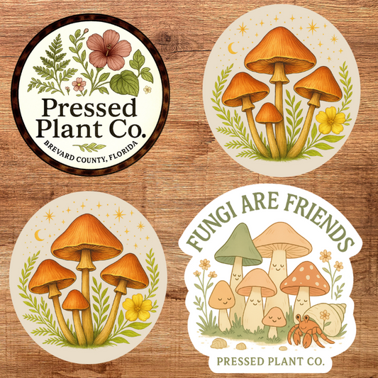 4-Pack 3" Vinyl Stickers- Variety Mushroom Set