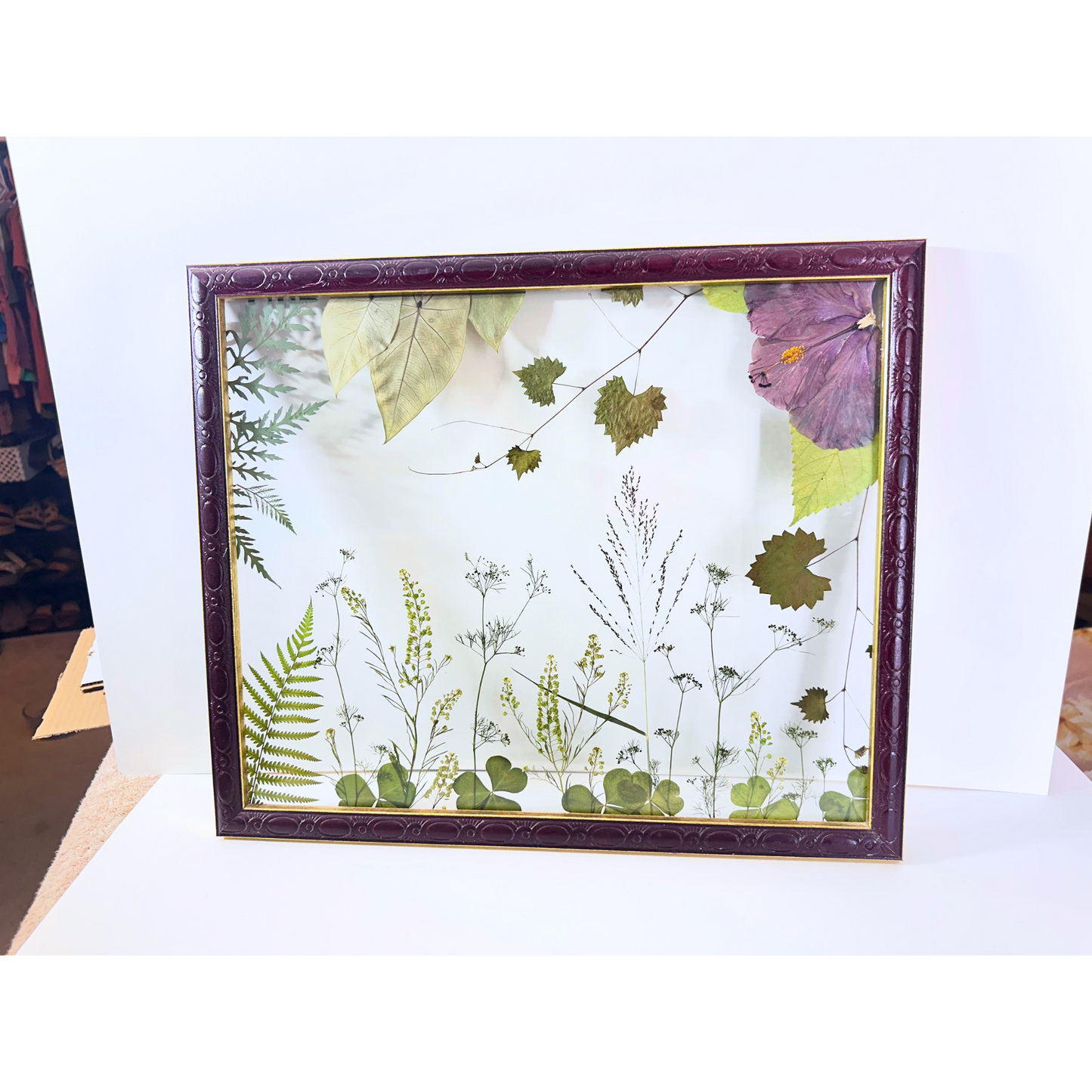 Coastal Flora of Brevard County (15"x18") (SCB)