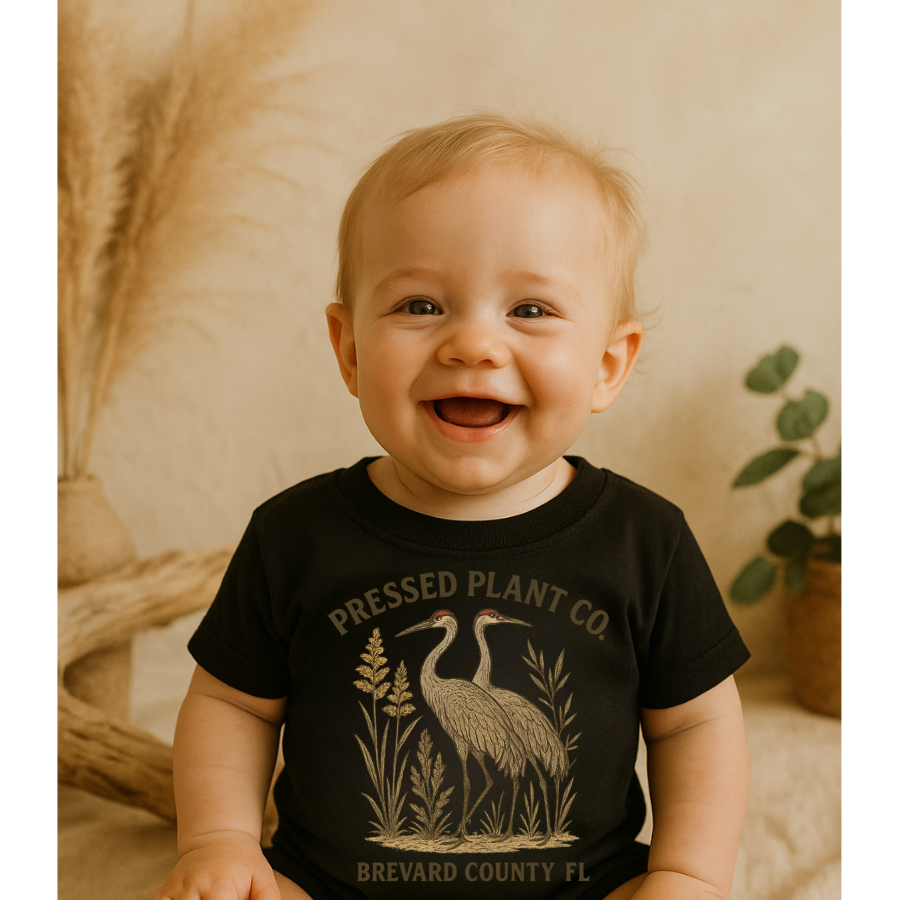 Sandhill Cranes Baby jersey t-shirt